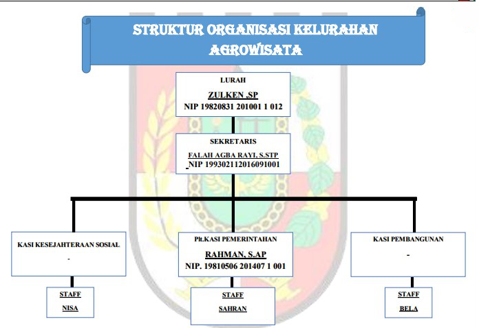 Struktur Organisasi Desa